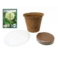 thumbnail image 2 of Microgreens Seed Starter Kit - Growing Kit Includes Seeds, Coconut Fiber Pot, and Coco Coir Soil Disc - Easy Micro Greens for Indoor Growing by Sustainable Seed Company(Clover), 2 of 2