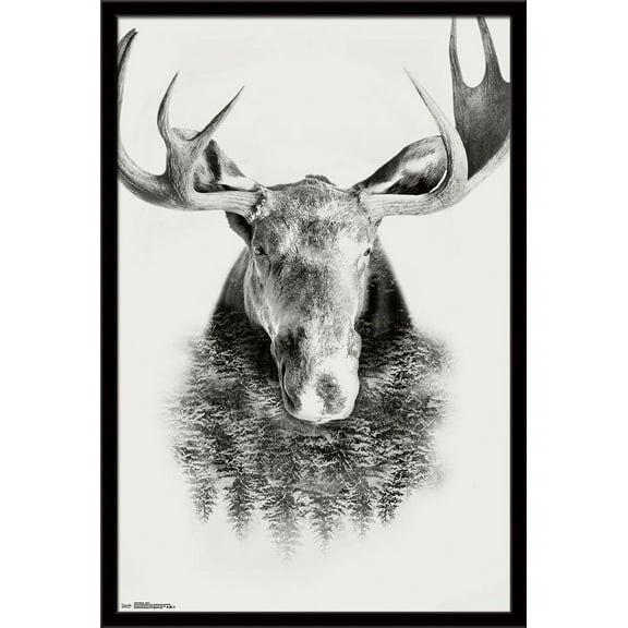 Moose - Trees Wall Poster, 22.375" x 34", Framed