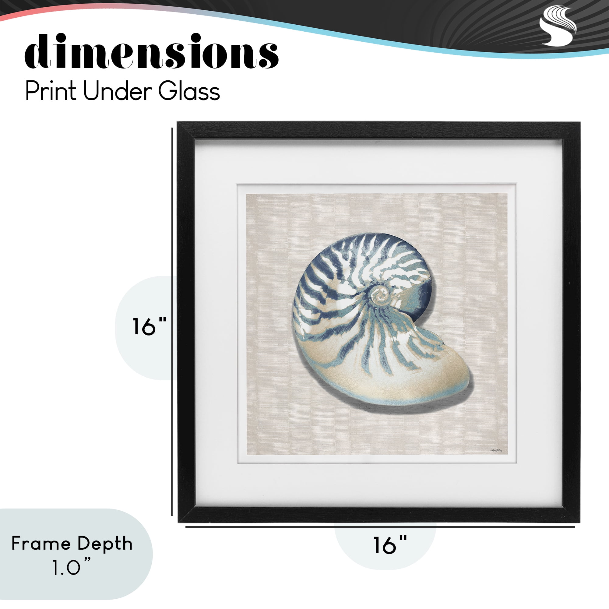Stupell Industries Nautilus Shell in Misty Blue Black Framed Print Under Glass, design by Amber Sterling