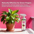 thumbnail image 5 of EcoVenger Garden Insect Control 16 oz, Plant Extract Based, Indoor & Outdoor, Kills Aphids, Mealybugs, Spider Mites and Gnats All Stages and Eggs, Non-Toxic Child & Pet Safe, 5 of 13