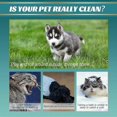 thumbnail image 3 of Pet Clean Wash Free Gloves, Pet Grooming Gloves, Pet Disposable Glove Wipes, Pet No Rinse Wipes, Pet Clean Wash Free Gloves, 3 of 5
