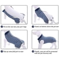 thumbnail image 4 of Sincero Traje de recuperación para perros, traje de recuperación quirúrgica para perros para heridas abdominales masculinas o enfermedades de la piel, alternativas a los collares electrónico, 4 of 5