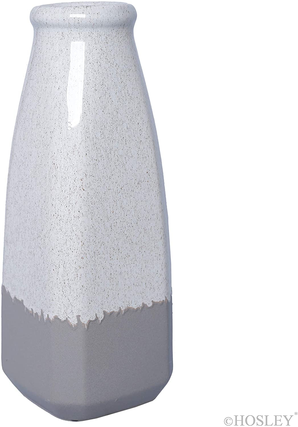 Hosley 10 inch High Decorative Ceramic Vase