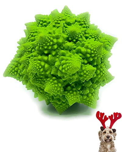 squeaky broccoli dog toy