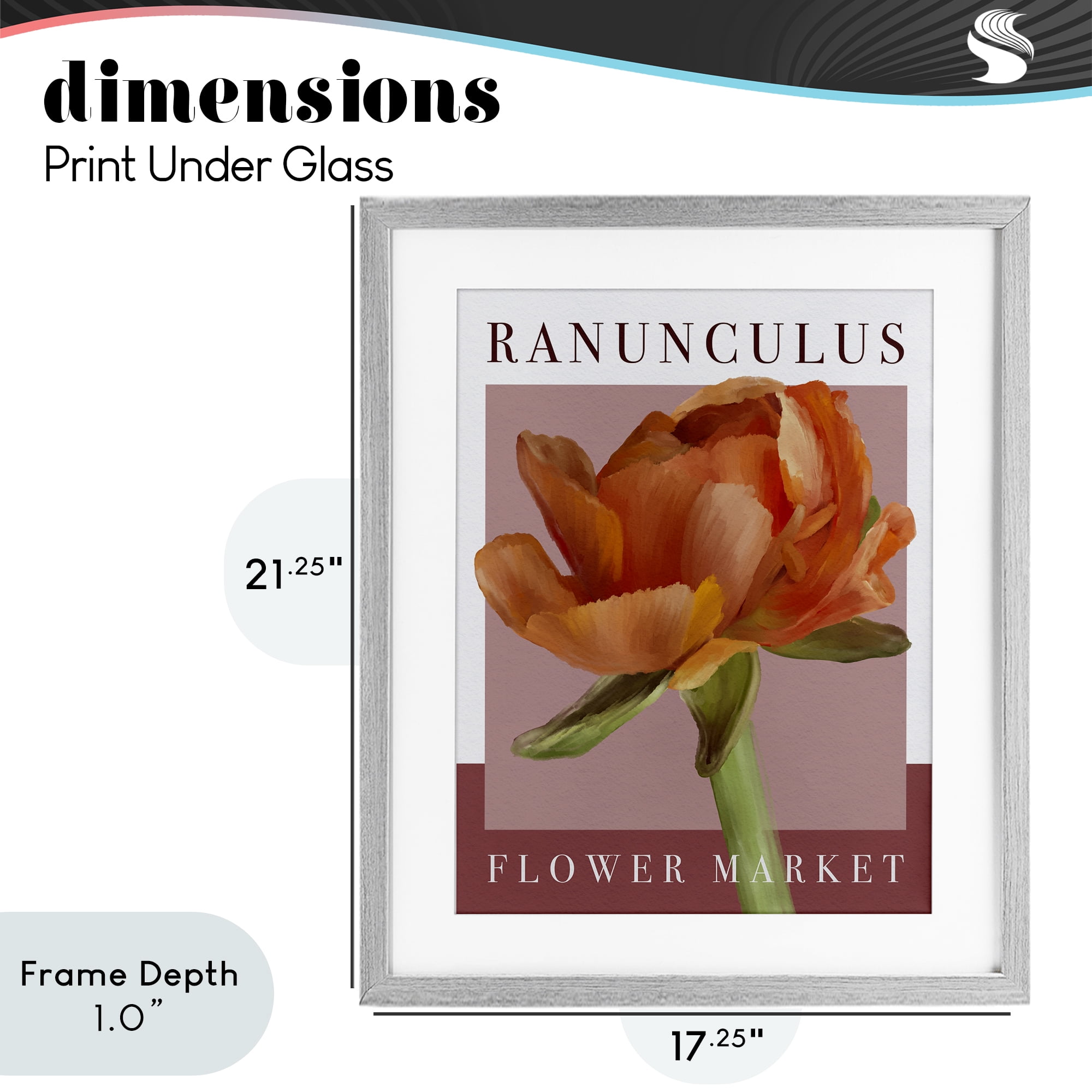 Stupell Industries Ranunculus Flower Market Gray Framed Print Under Glass, design by Jennifer Stith