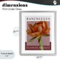 thumbnail image 4 of Stupell Industries Traditional Ranunculus Flower Market Gray Framed Print Under Glass, 17 x 21, by Jennifer Stith, 4 of 8