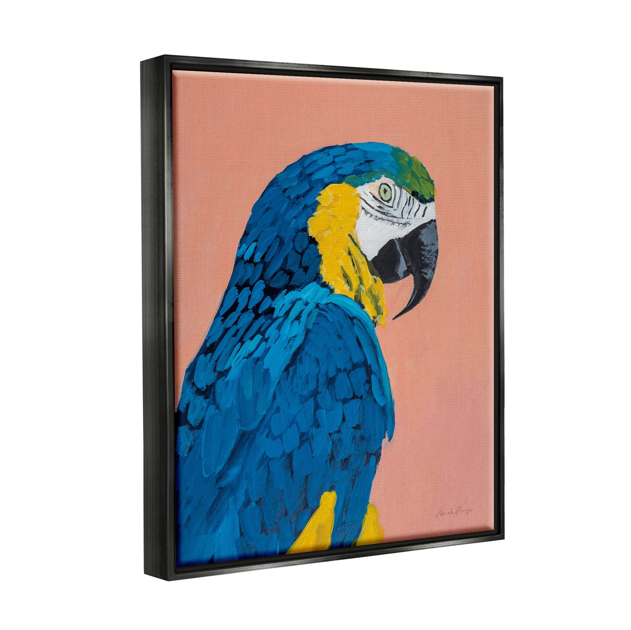 Stupell Industries Bold Parrot Wildlife Portrait Painting Jet Black Floating Framed Canvas Print Wall Art, Design by Pamela Munger
