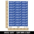 thumbnail image 2 of Express Mail Service Expedited Running Person Sticker Set - Dark Blue - Matte Finish - 1.75" Medium, 2 of 7