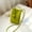 green, variant on Mini Crossbody Bags Fashion Large Capacity Lightweight Shoulder Bag Waterproof Soft PU Coin Purse (black)