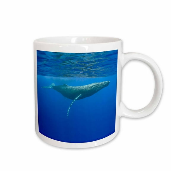 3drose, Hawaii, Big Island, Humpback Whale - Us12 Pso0028 - Paul Souders, 15oz Mug