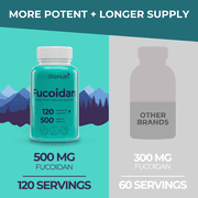 LongLifrNutri Fucoidan 500mg - 120 Vegetarian Capsules, Brown Seaweed Extract for Energy & Wellness