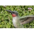thumbnail image 3 of Hi-Line Gift Motion-Activated Singing Hummingbird on Foxglove, Polyresin - Multicolour, 3 of 7