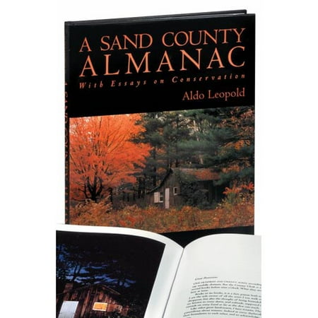 Sand county almanac essay questions