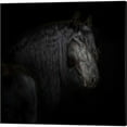 thumbnail image 2 of Great Art Now Equine Portrait by PHBurchett 2 Piece Canvas Art Set Each 14"W x 14"H, 2 of 3