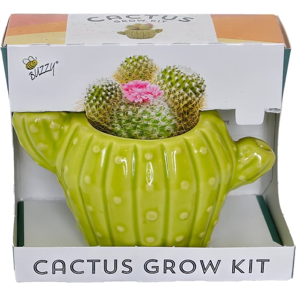 BUZZY Seeds 4pk Mini Cactus Grow Kit with Ceramic Planter, Succulent Seeds, Growing Medium, Easy Instructions, Indoor Gardening Gift for Beginners, Birthdays, Housewarming and Home or Office Décor