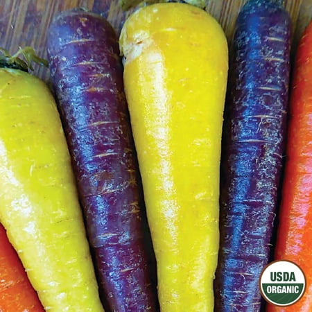 Carrot, Rainbow Mix Organic Seeds