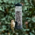 thumbnail image 2 of Squirrel Proof Finch Feeder With Clear Shell, Weatherproof Tube Feeder For Outdoor Use Attracting Various Birds (2Pieces), 2 of 5