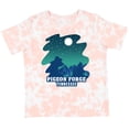 thumbnail image 3 of Inktastic Smoky Mountains Pigeon Forge Tennessee with Bear Boys or Girls Toddler T-Shirt, 3 of 5