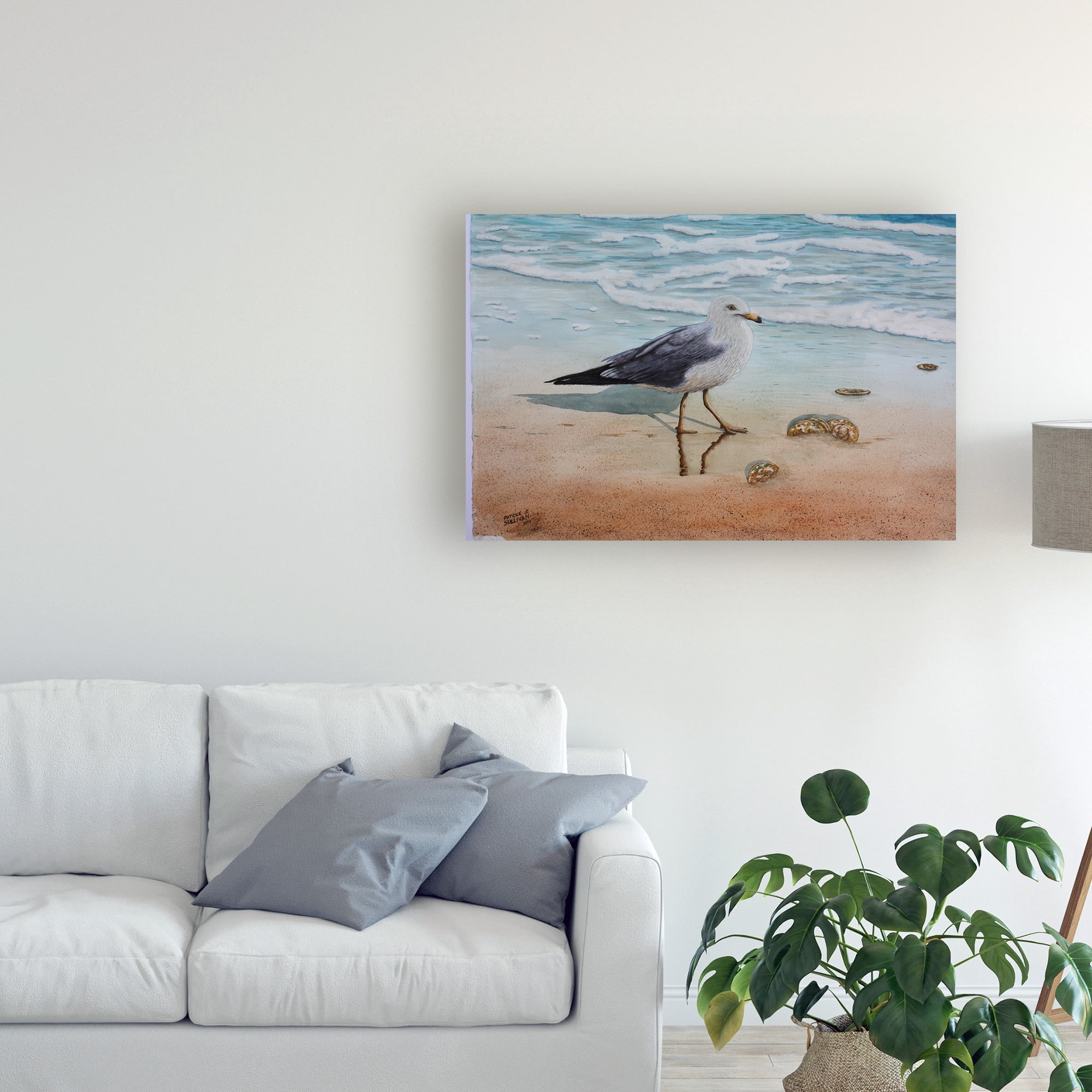 Trademark Fine Art '1 Seagull' Canvas Art by Patrick Sullivan