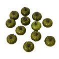 thumbnail image 2 of 12x Mini calabazas pequeñas calabazas decoración simulación calabazas artificiales para fiesta hogar vacaciones decoración ornamento Verde Soledad calabaza de simulación, 2 of 6