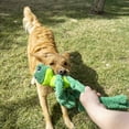thumbnail image 3 of KONG® Knots Squeaker Dog Toy, Frog, Large/Extra Large, 3 of 5