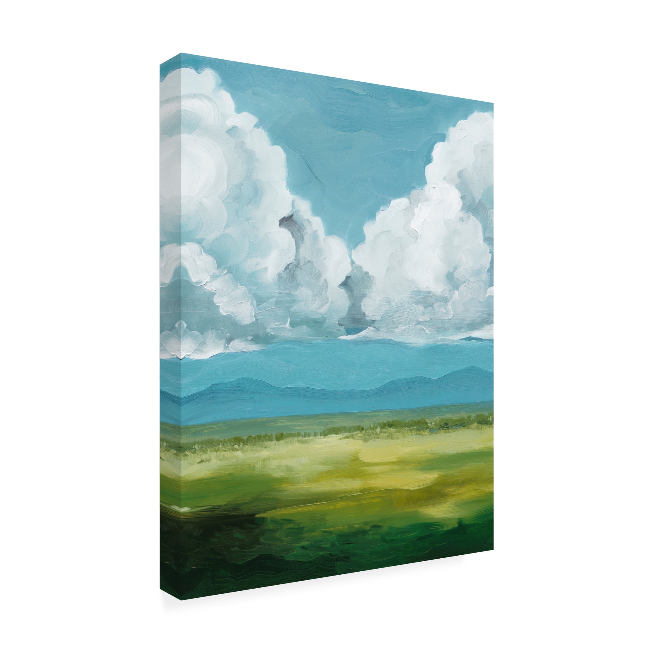 Trademark Fine Art Grace Popp Golden Plains II Canvas Wall Art