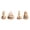 B#440803gg, variant on Craft Glue Ocean Shell DIY Handmade Kit, Marine Seashell Art Craft Set, Beach Theme Wooden Decoration Assembly Kit, Creative Glueing Project, Seaside Souvenir Making Kit