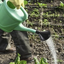 OFFIGAM Plastic Watering Can with Black Sprinkler for Gentle and Even Plant Irrigation and Gardening