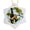 White, variant on 3drose, White-faced Capuchin Monkey. Roatan, Bay Islands, Honduras., Circle Porcelain Ornament