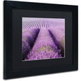 thumbnail image 2 of Trademark Fine Art 'Purple Hills' Canvas Art by Michael Blanchette Photography, Black Matte, Black Frame, 2 of 4