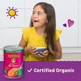 thumbnail image 3 of 2X-Annie's Organic All Stars Tomato & Cheese Sauce Canned Pasta - 15.00 oz - 1 ct, 3 of 4