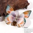 thumbnail image 2 of Xihbxyly Pinza para El Cabello de Acrílico, Elegante Diseño de Canasta de Flores, Motivo de Mariposa para Un Estilo Sofisticado, Agarre Duradero para Todo Tipo de Cabello, para Uso Recogido o Informa, 2 of 4