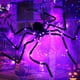 thumbnail image 5 of Araña brillante de Halloween flexible gigante duradera negra decoración de araña de Halloween terror suave para fiesta de Halloween en interiores y exteriores ANGGREK Otros, 5 of 8