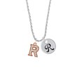 thumbnail image 2 of Delight Jewelry Rose Goldtone Crystal Initial - R - Silvertone Script Initial Disc - R - Charm Necklace, 20"+3", 2 of 4