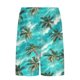 thumbnail image 5 of Pantalones Cortos Casuales para Hombre Imprimir con Bolsillos Pantalones de Playa de Cintura Elástica, Pantalones Cortos de Cintura Elástica para Hombre, 5 of 7