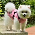 thumbnail image 5 of Pet Warm Jacket, Small Dog Vest, Harness Puppy Winter 2 in 1 Outfit Cold Weather Coat, 5 of 10