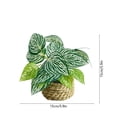 thumbnail image 3 of Artificial Potted Plant,Weather Resistant Fake Plant in Woven Basket Faux Greenery Decor for Home Tabletop Living Room Office Shelf, 3 of 6
