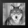 thumbnail image 2 of PhotoINC Studio 15x15 Black Modern Framed Museum Art Print Titled - Wolf, 2 of 5