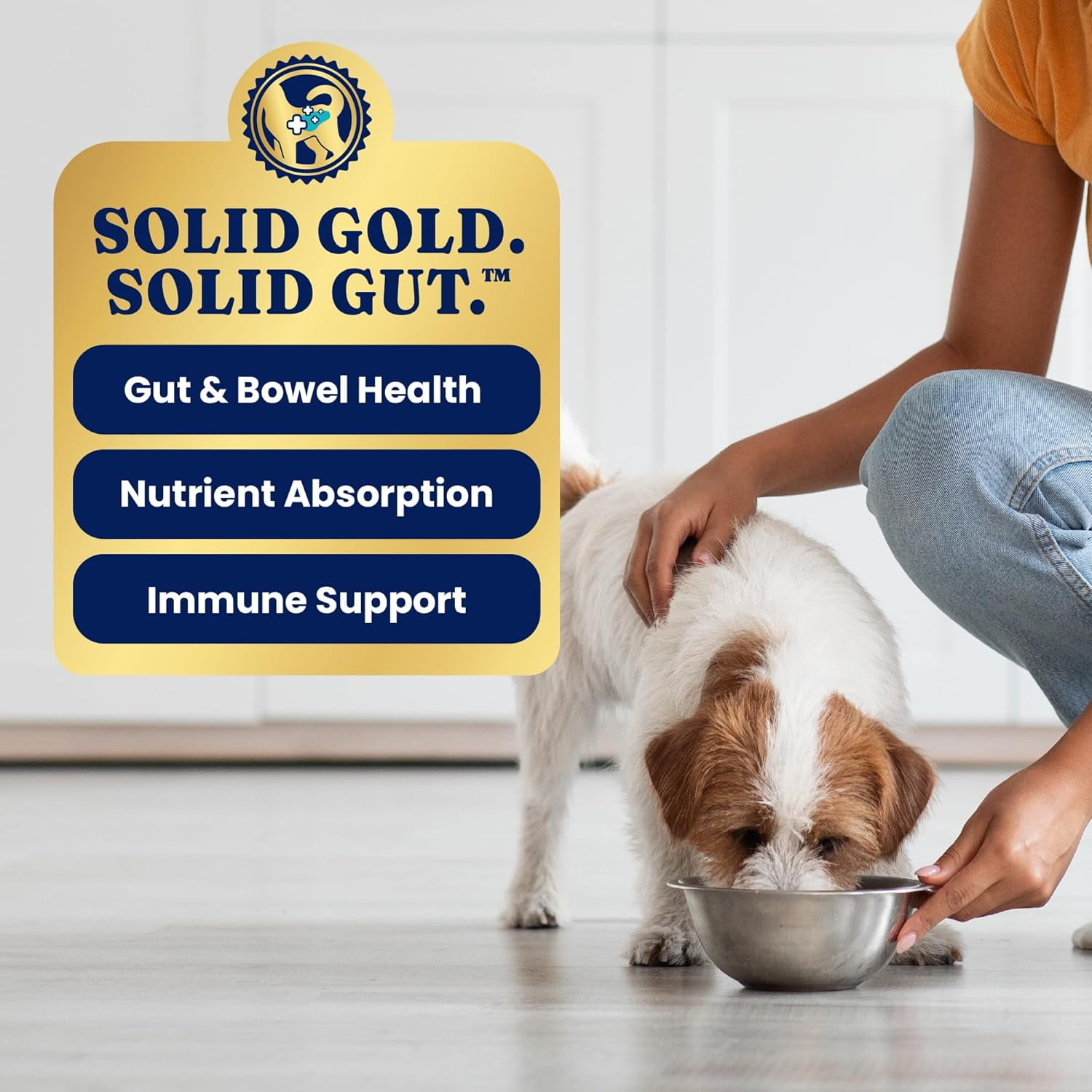 Solid Gold Leaping Water Wet Dog Food, Salmon, 13.2oz Can (Case of 6)