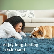 Febreze Fabric Spray Air Freshener, Odor-Fighting Fabric Refresher, Pet Odor Fighter, 23.6 fl oz
