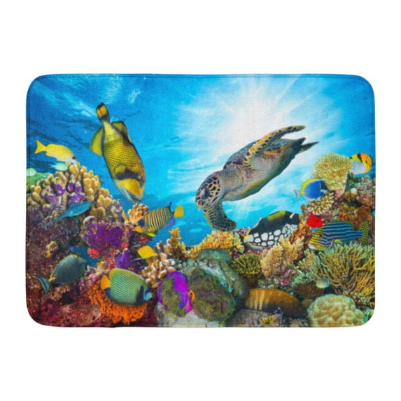 SIDONKU Blue Fish Colorful Coral Reef Many Fishes and Sea Turtle Red Underwater Hawaii Doormat Floor Rug Bath Mat 23.6x15.7 inch