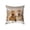 B, variant on Yeciiwht Cute Animals Print Pillow Covers 18x18 Inches Decorative Throw Pillow Covers, Bedroom Living Room Sofa Cushion Covers Soft Cozy Pillow Case for Home Decoration