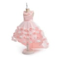 thumbnail image 2 of IUYRTFE Children Girls Formal Party Dress Princess Gown for Special Occasion Birthday Celebration Pageant Clothes Flower Girl Cute Dresses(Pink#2,6 Years), 2 of 9