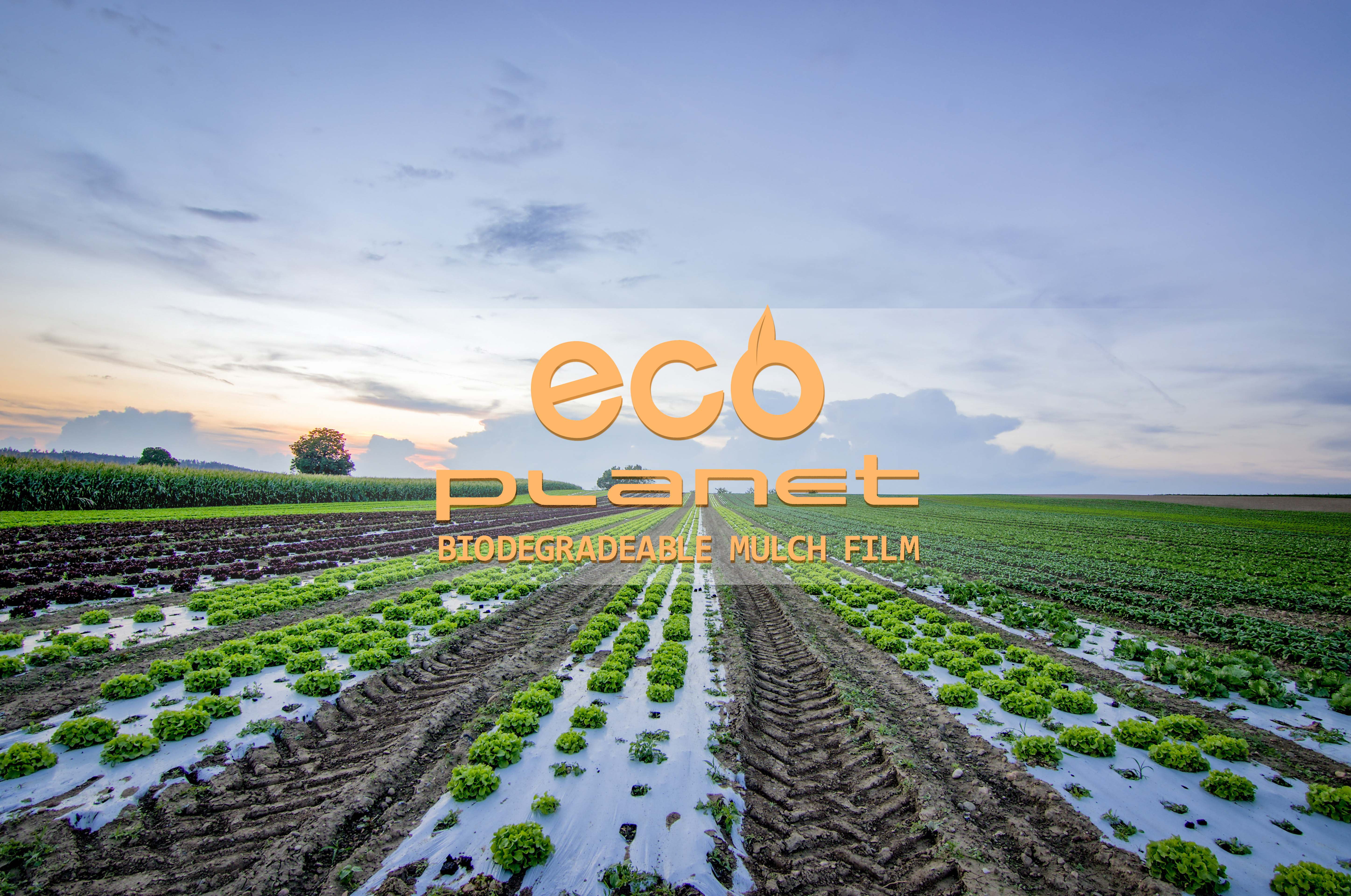 1Mil 2.7ftx 50ft/200ft Black Bio-degradable Plastic Mulch Gardening Farming Film 