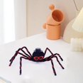 thumbnail image 5 of Fnochy Halloween Decorations Giant Spider, Realistic Large Hairy Spider Scary Furry Spider Props, for Indoor Outdoor Yard Party Halloween Decor, Prankst Toys for Boys, Kids, Teens, 5 of 8