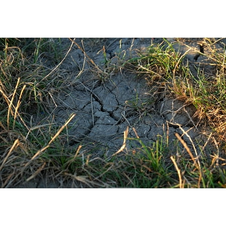Canvas Print Sandy Cracks Ground Dry Nature Structure Drought Stretched Canvas 10 x