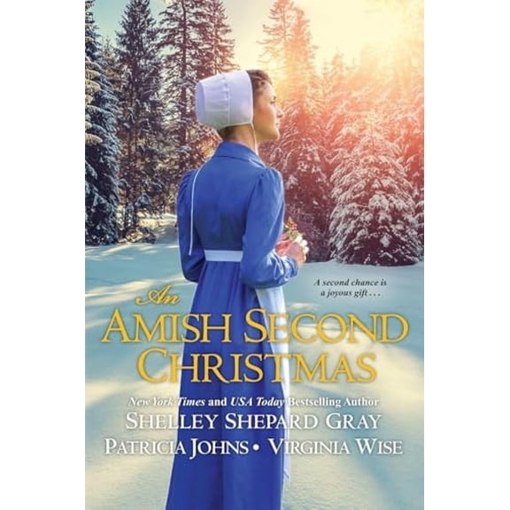 Pre-Owned An Amish Second Christmas (Paperback) 149671783X 9781496717832