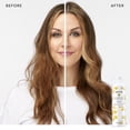 thumbnail image 2 of Pantene Sulfate Free Shampoo, Damage Repair Shampoo with Castor Oil, Color Safe, with Pump, 14.8 oz, 2 of 13
