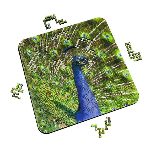 Mind Bending Puzzle - Peacock's Pride