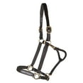 thumbnail image 2 of Schneiders Premier Scottsdale Padded 3/4" Halter | No-Rub Padded | Full Size, 2 of 4